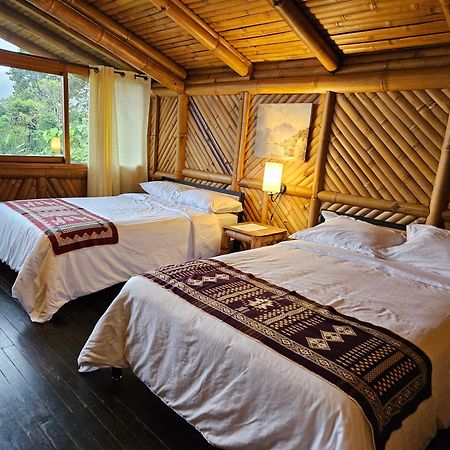 Golden Tree Mindo Eco-Lodge Dış mekan fotoğraf