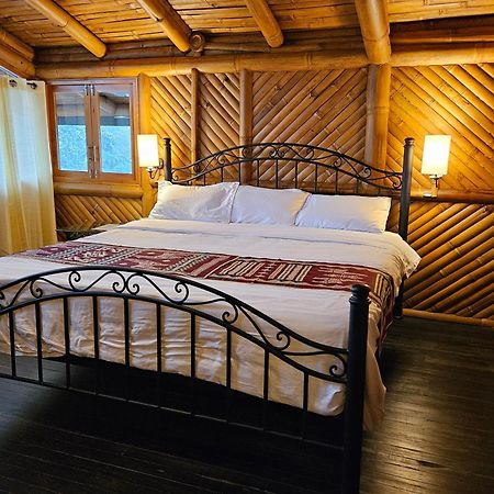 Golden Tree Mindo Eco-Lodge Dış mekan fotoğraf