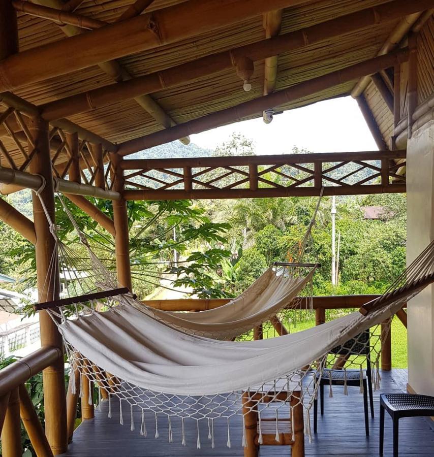 Golden Tree Mindo Eco-Lodge Dış mekan fotoğraf