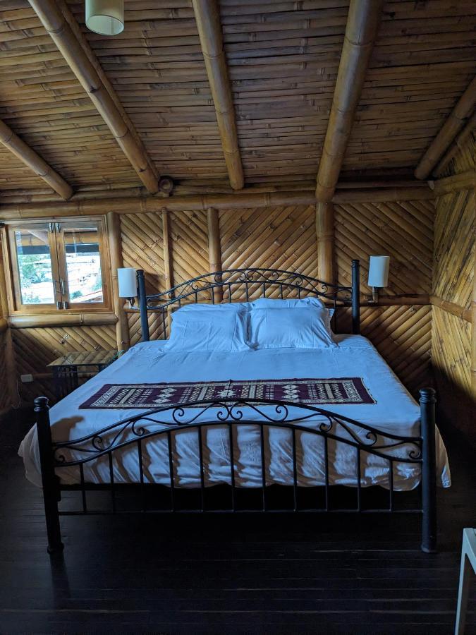 Golden Tree Mindo Eco-Lodge Dış mekan fotoğraf