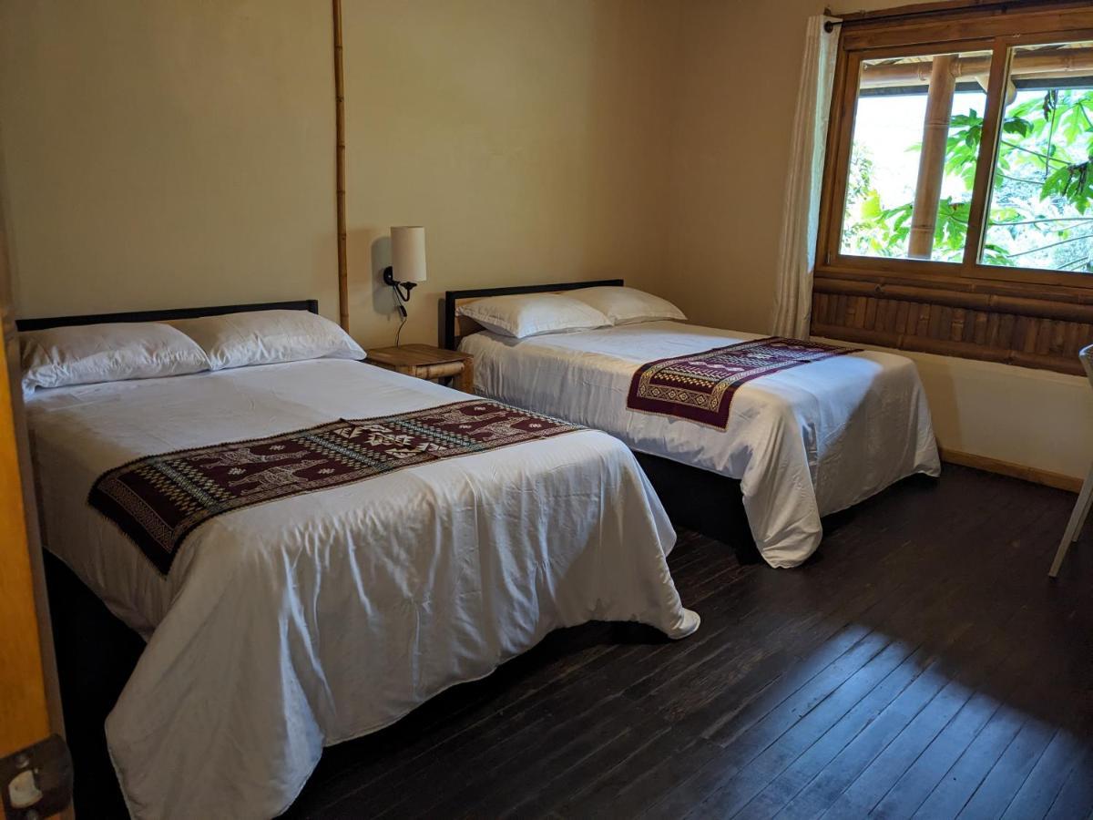 Golden Tree Mindo Eco-Lodge Dış mekan fotoğraf