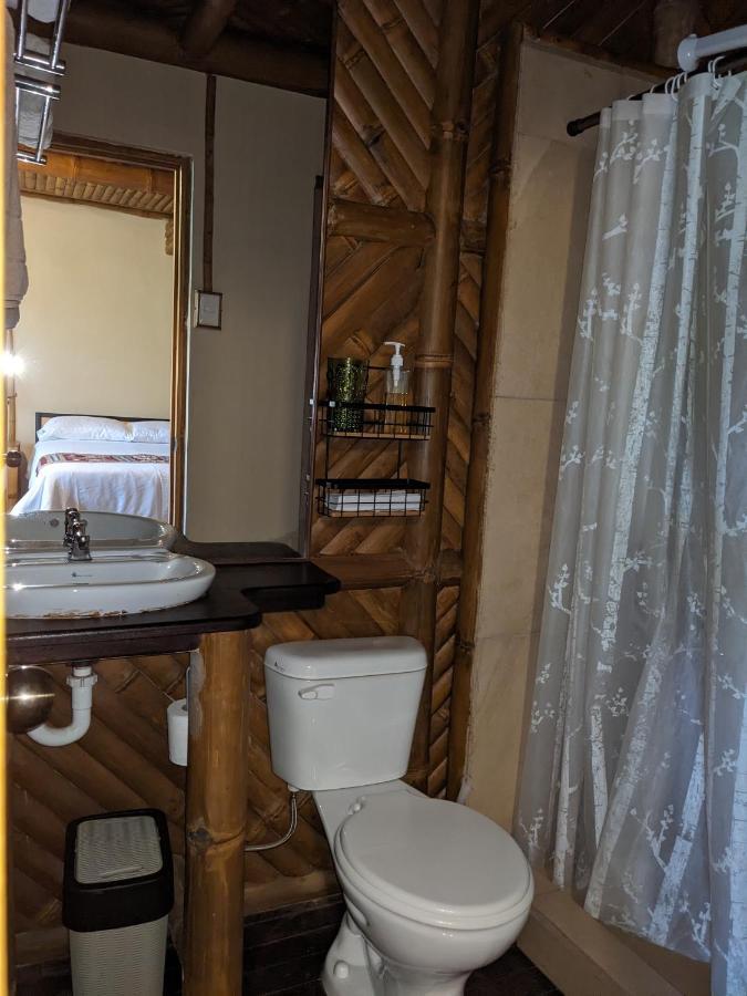 Golden Tree Mindo Eco-Lodge Dış mekan fotoğraf