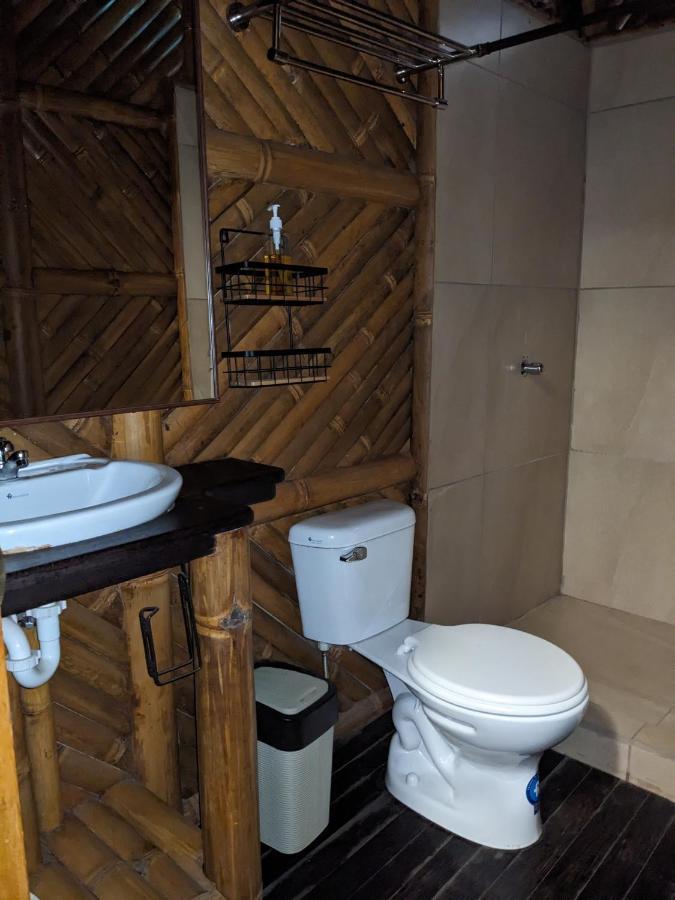 Golden Tree Mindo Eco-Lodge Dış mekan fotoğraf