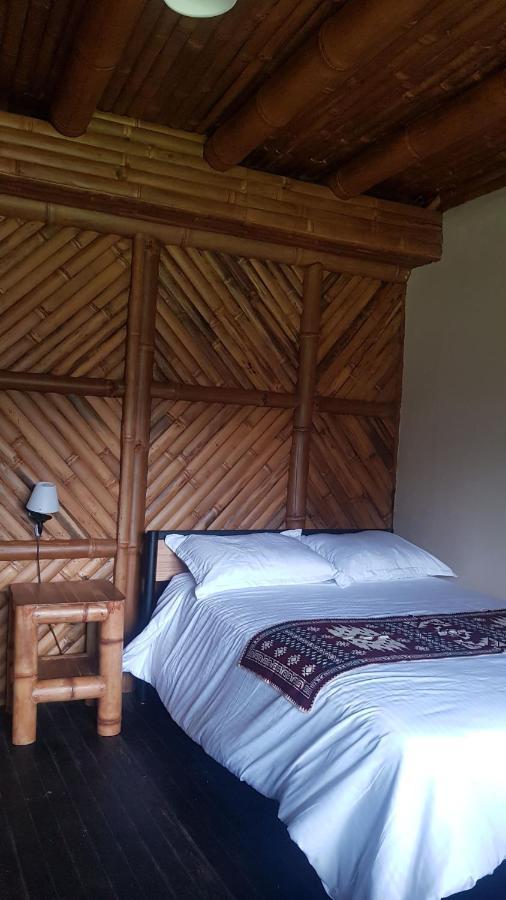 Golden Tree Mindo Eco-Lodge Dış mekan fotoğraf