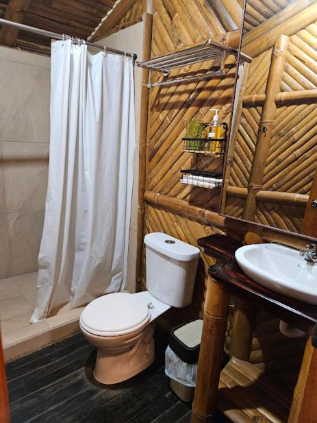 Golden Tree Mindo Eco-Lodge Dış mekan fotoğraf