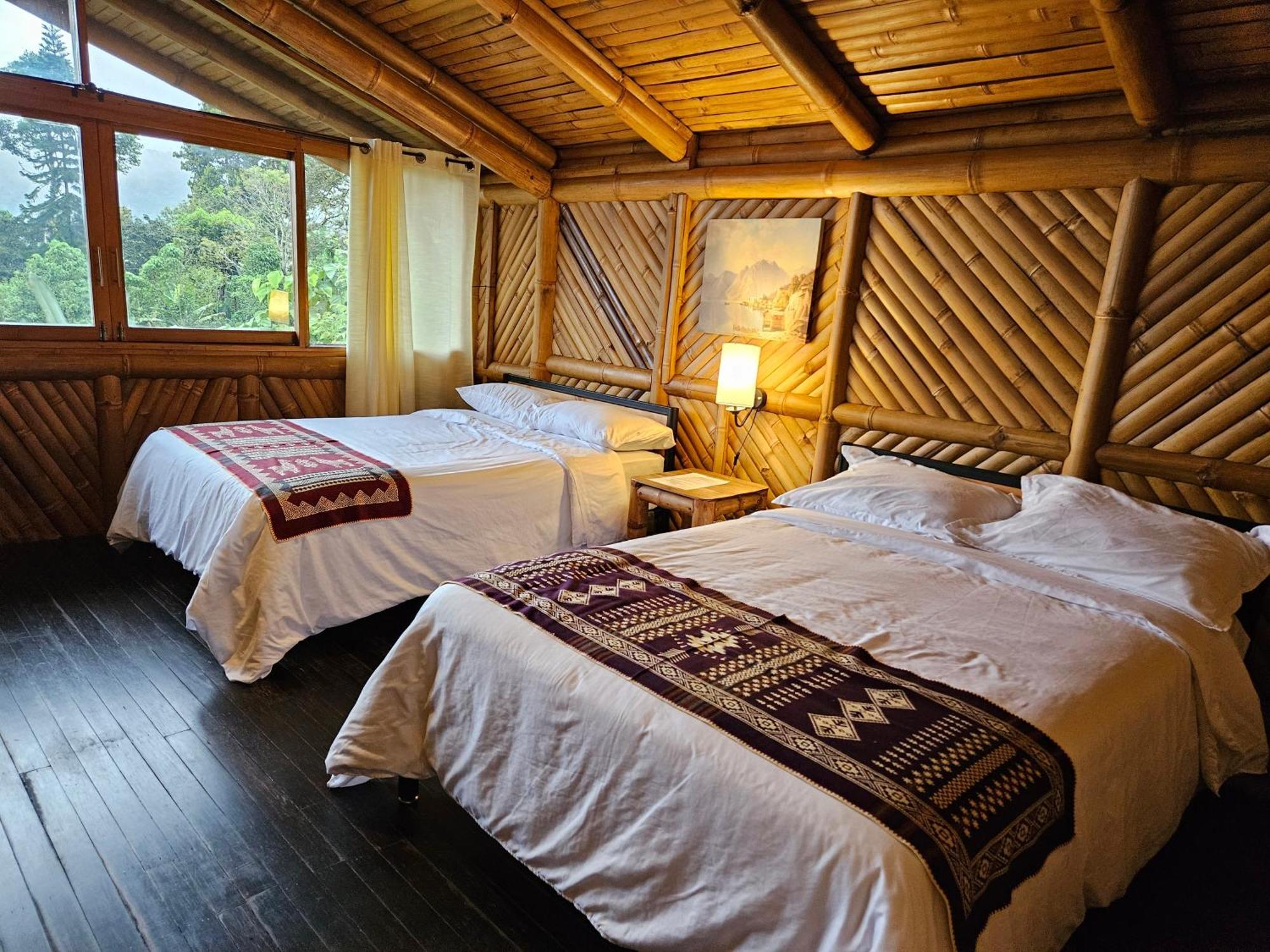 Golden Tree Mindo Eco-Lodge Dış mekan fotoğraf