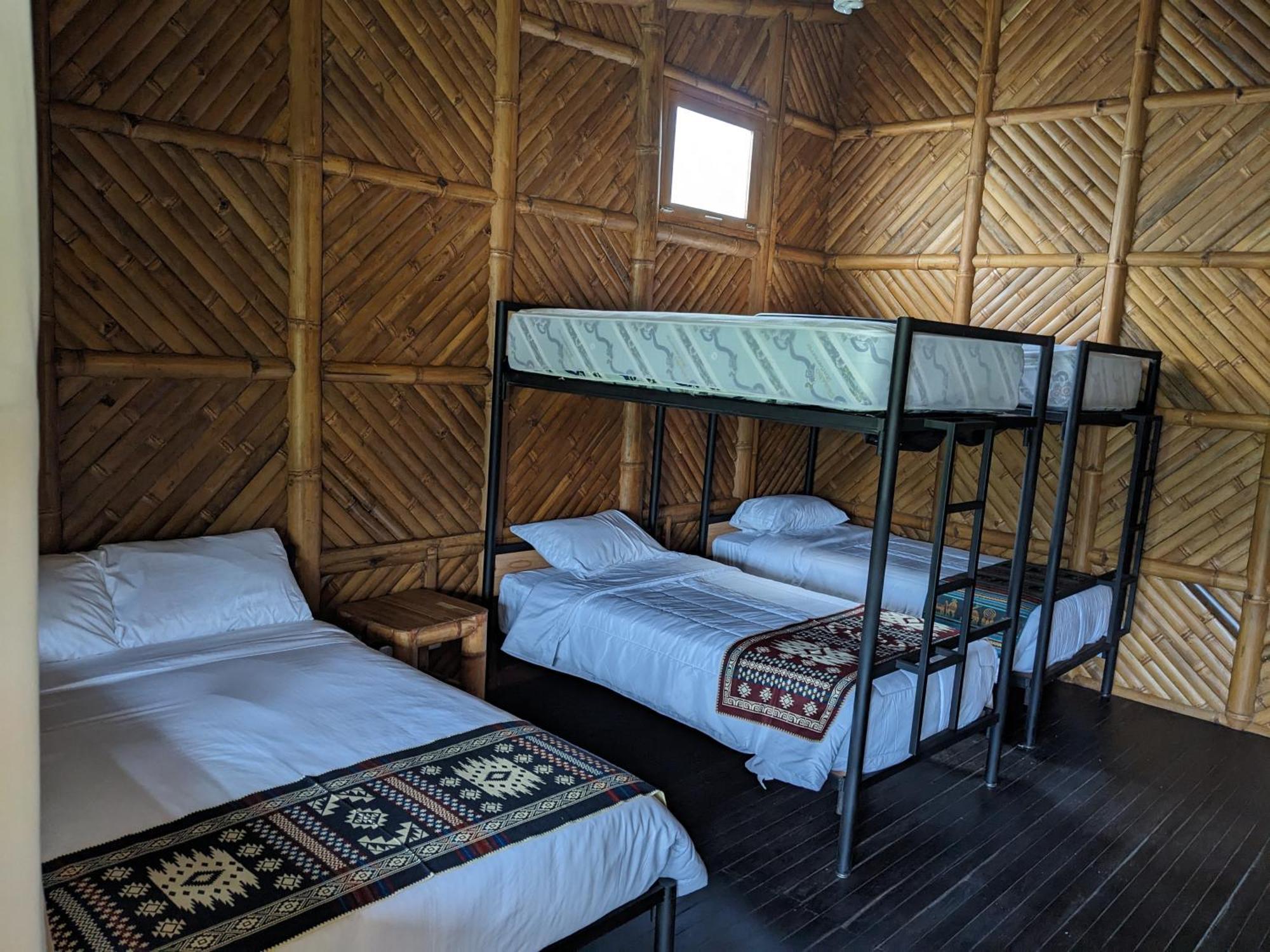 Golden Tree Mindo Eco-Lodge Dış mekan fotoğraf