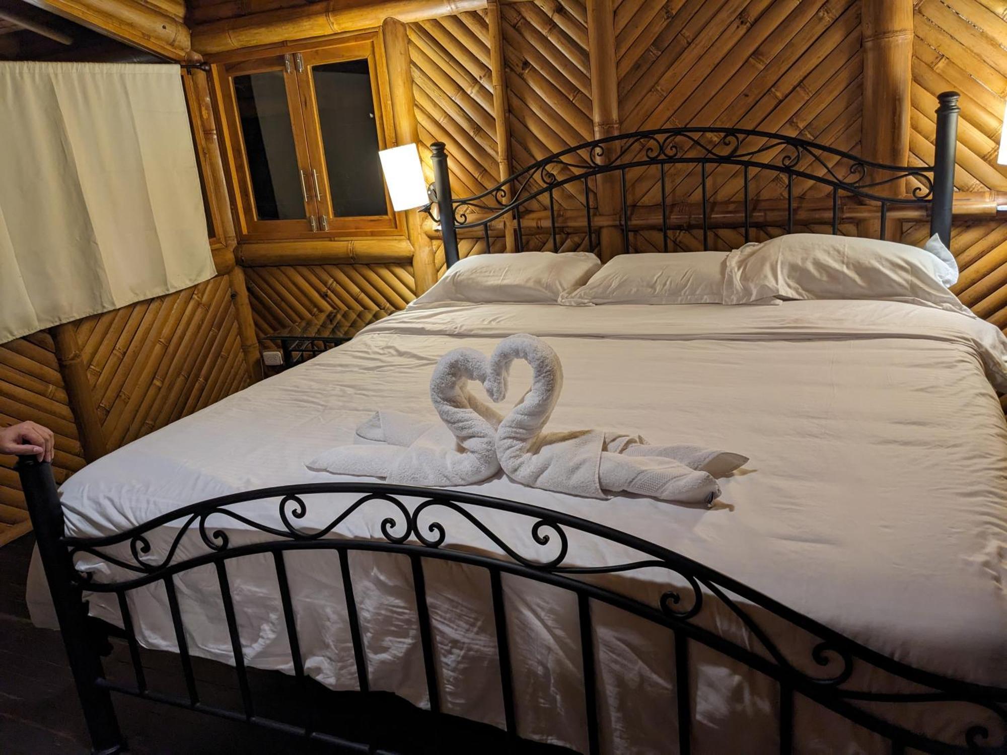 Golden Tree Mindo Eco-Lodge Dış mekan fotoğraf