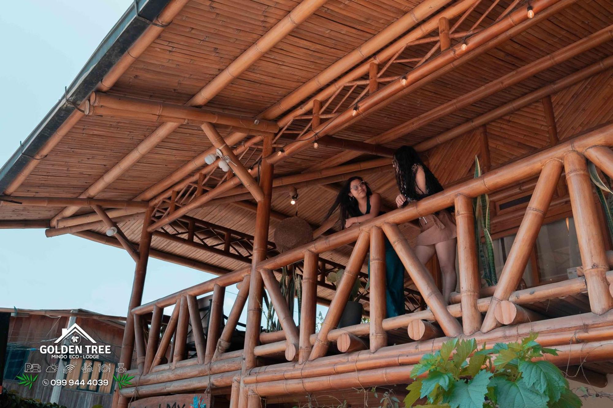 Golden Tree Mindo Eco-Lodge Dış mekan fotoğraf